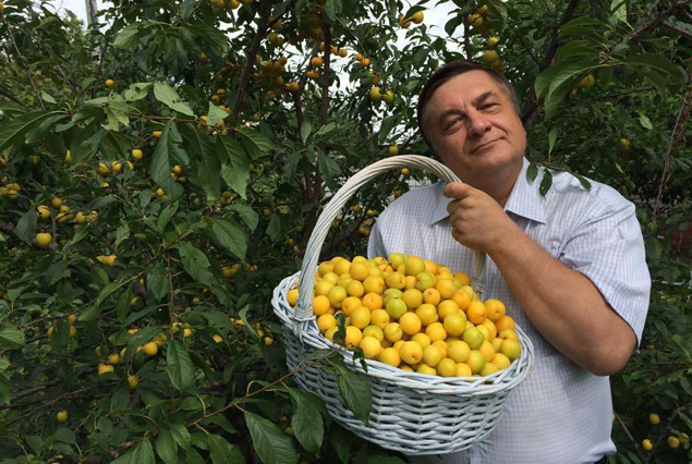 Жириновский хочет завести корову, а Зюганов собрать 50 килограммов меда