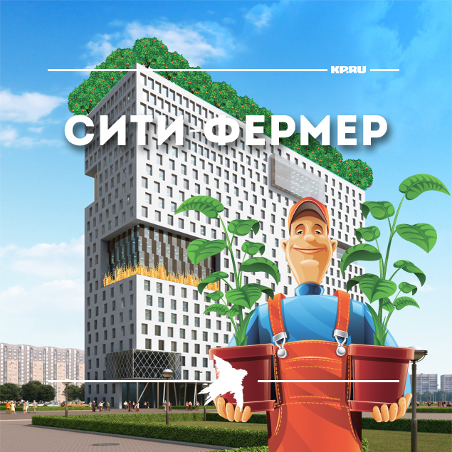 12 профессий будущего: проверь, станешь ли ты безработным к 2030 году!