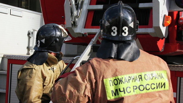 В результате пожара на ферме в Смоленской области погибли 33 теленка
