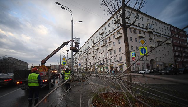 Девочка погибла во время урагана в Москве