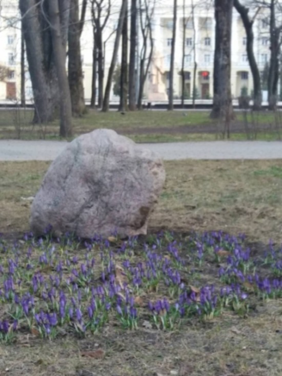 Во вторник в Смоленскую область придут дожди