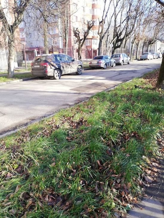 В пятницу в Смоленской области будет сухо и даже местами солнечно