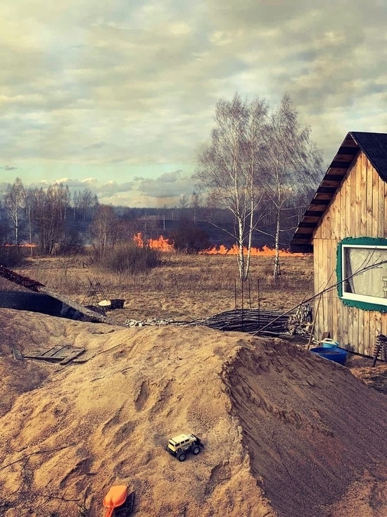 На Смоленщине снова активно горит сухая трава